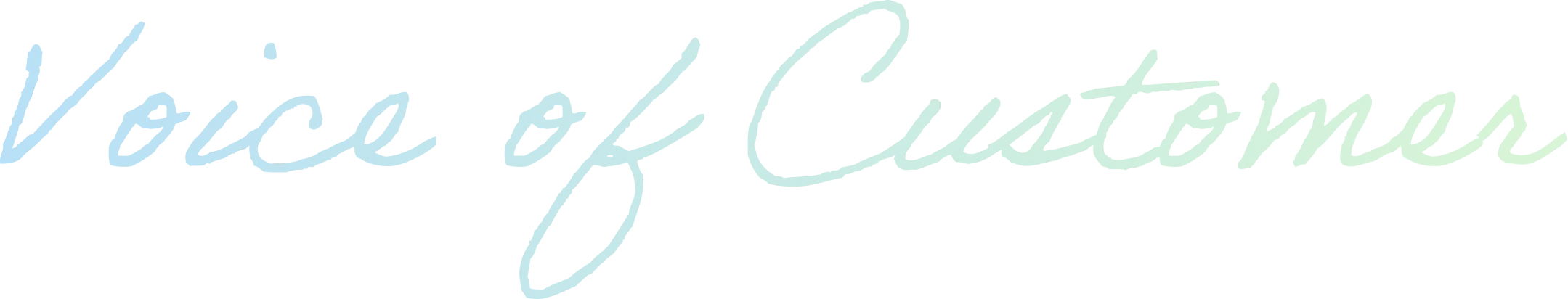 Voice of Customer